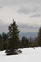 Turbacz 22.03.08 041
