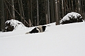Turbacz 22.03.08 061