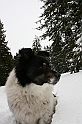 Turbacz 22.03.08 079