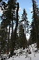 Turbacz 22.03.08 139