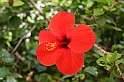 Rodos 2007 1024