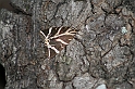 Rodos 2007 257