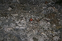 Rodos 2007 265