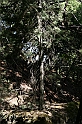Rodos 2007 269