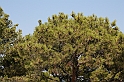 Rodos 2007 330