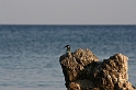 Rodos 2007 457