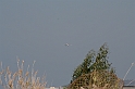 Rodos 2007 668