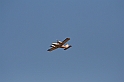 Rodos 2007 697