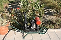 Rodos 2007 757