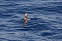 Rodos 2007 903
