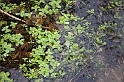 IMG_2525