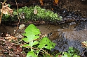 IMG_2531