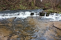 IMG_2542