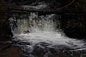 IMG_2545