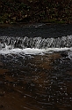 IMG_2547