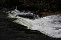 IMG_2550