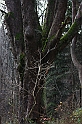 IMG_2588