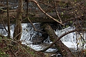 IMG_2589