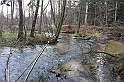 IMG_2617
