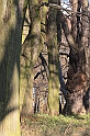 IMG_2654