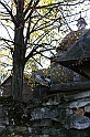 IMG_2696