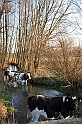 IMG_2724