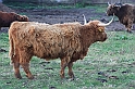 IMG_2731