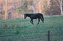 IMG_2736