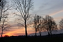 IMG_2779