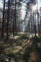 IMG_2816