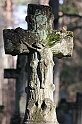 IMG_2846