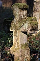 IMG_2855