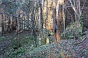 IMG_2874