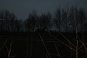 wosp polon 2008 401