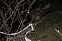 Poland Trophy 2007 023