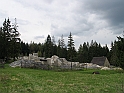 77