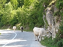 WAKACJE 2005 077