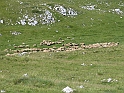 WAKACJE 2005 115