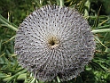 WAKACJE 2005 127