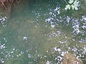 WAKACJE 2005 266