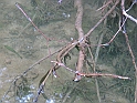 WAKACJE 2005 270