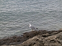 WAKACJE 2005 271
