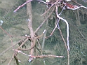 WAKACJE 2005 273
