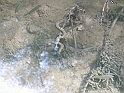 WAKACJE 2005 274