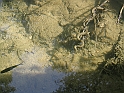 WAKACJE 2005 277