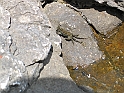 WAKACJE 2005 295