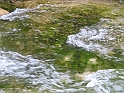 WAKACJE 2005 306