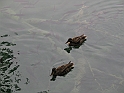 WAKACJE 2005 310
