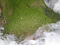 WAKACJE 2005 314