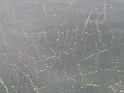 WAKACJE 2005 319